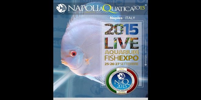 Napoli Aquatica 2015