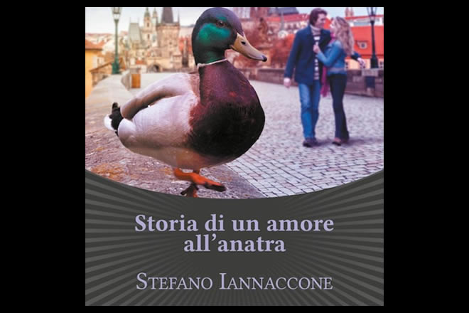 Storia di un amore all’anatra, di Stefano Iannaccone