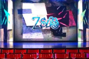 Zelig Cabaret