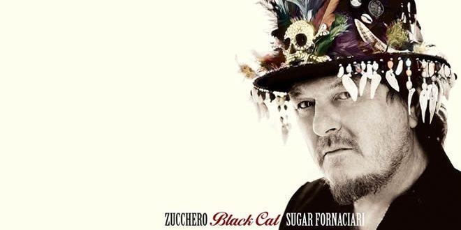 Zucchero - Black Cat