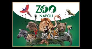 Zoo di Napoli
