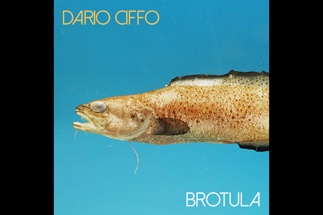 Dario Ciffo - Brotula