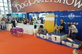 Il DogShow a Quattrozampeinfiera 2018