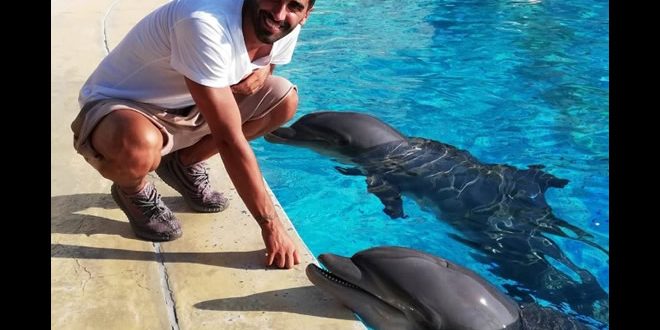 Filippo Magnini con i delfini ad Oltremare e Aquafan. Foto da Ufficio Stampa.