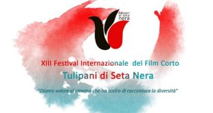 Tulipani di Seta Nera