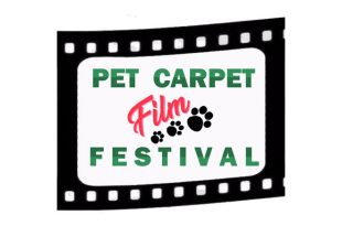 Pet Carpet Film Festival