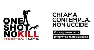 One shot no kill OIPA