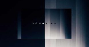 Songbird