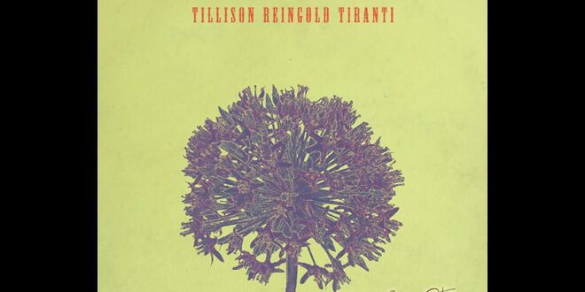 Jonas Reingold - Allium di Andy Tillison