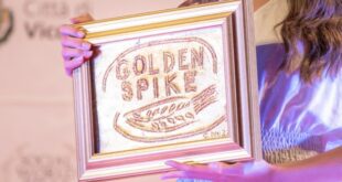 Golden Spike per il Social World Film Festival 2021