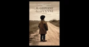 Copertina di Il giovane Giovanni di Serioli