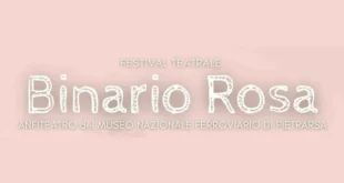 Logo - Binario Rosa