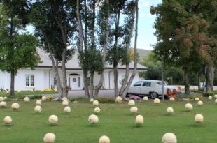 Il giardino delle Zucche - Casa di Emily